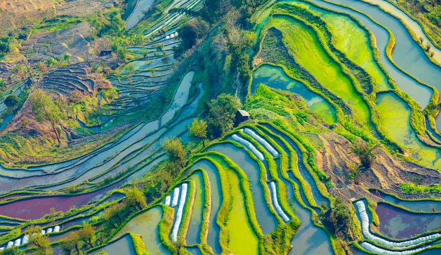 宝妈必备神器：樟树市产品视频拍摄轻松育儿好帮手