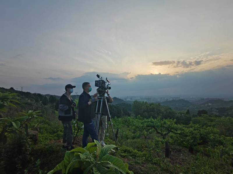 创意破圈！樟树市电商产品宣传视频用故事化叙事引爆流量