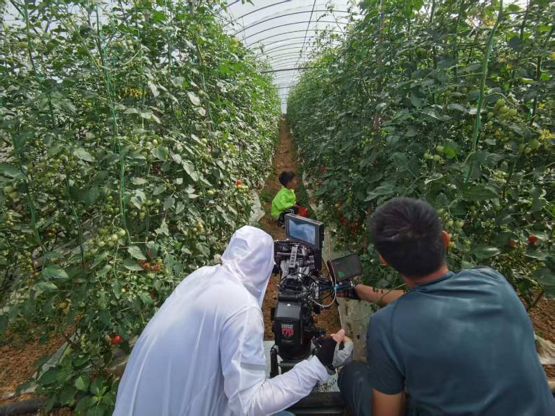 樟树市产品宣传视频拍摄公司进阶指南，助力品牌抢占传播高地